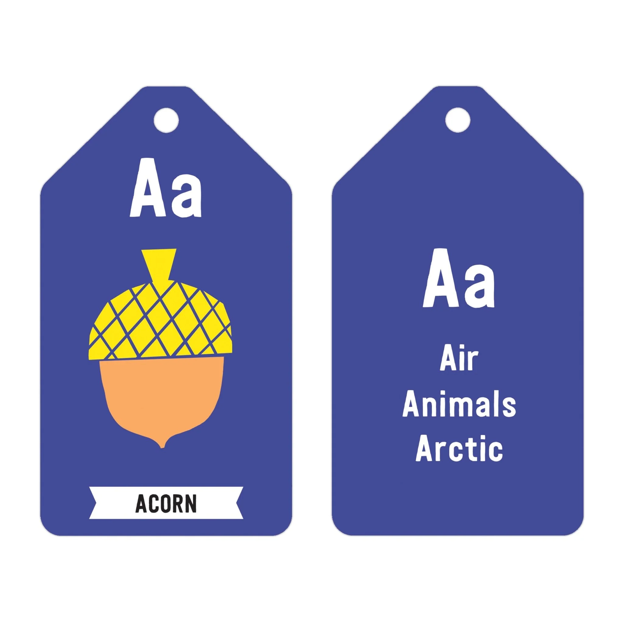 ABCs of the Earth Ring Flash Cards - Image 2