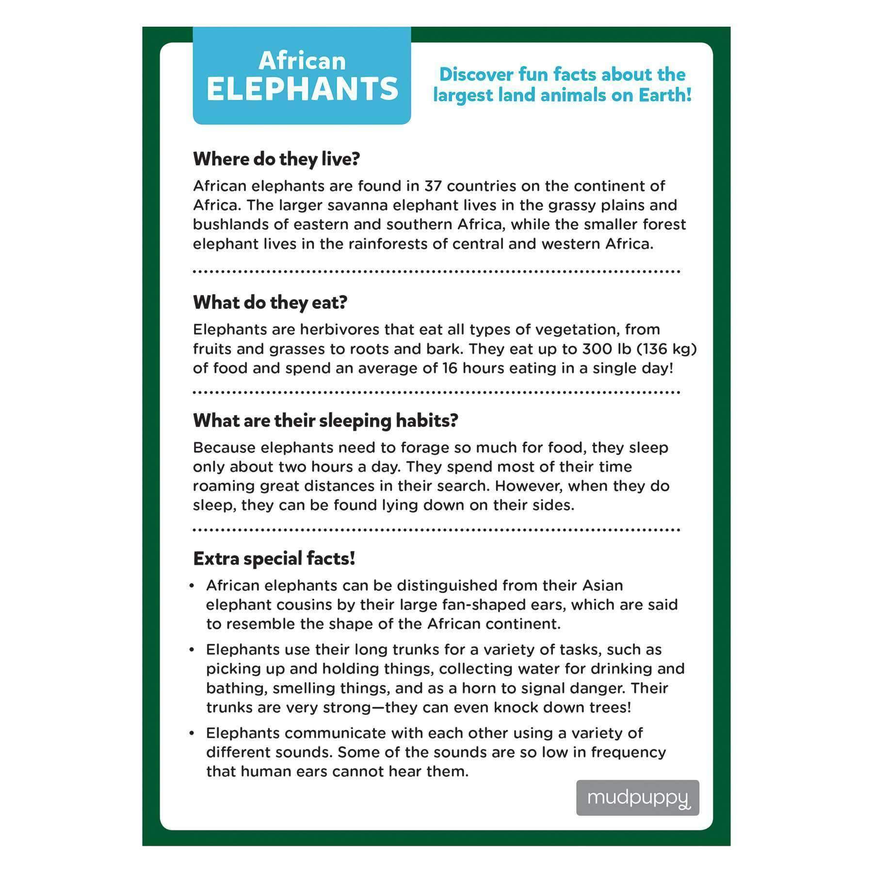 African Elephant Mini Puzzle - Image 3