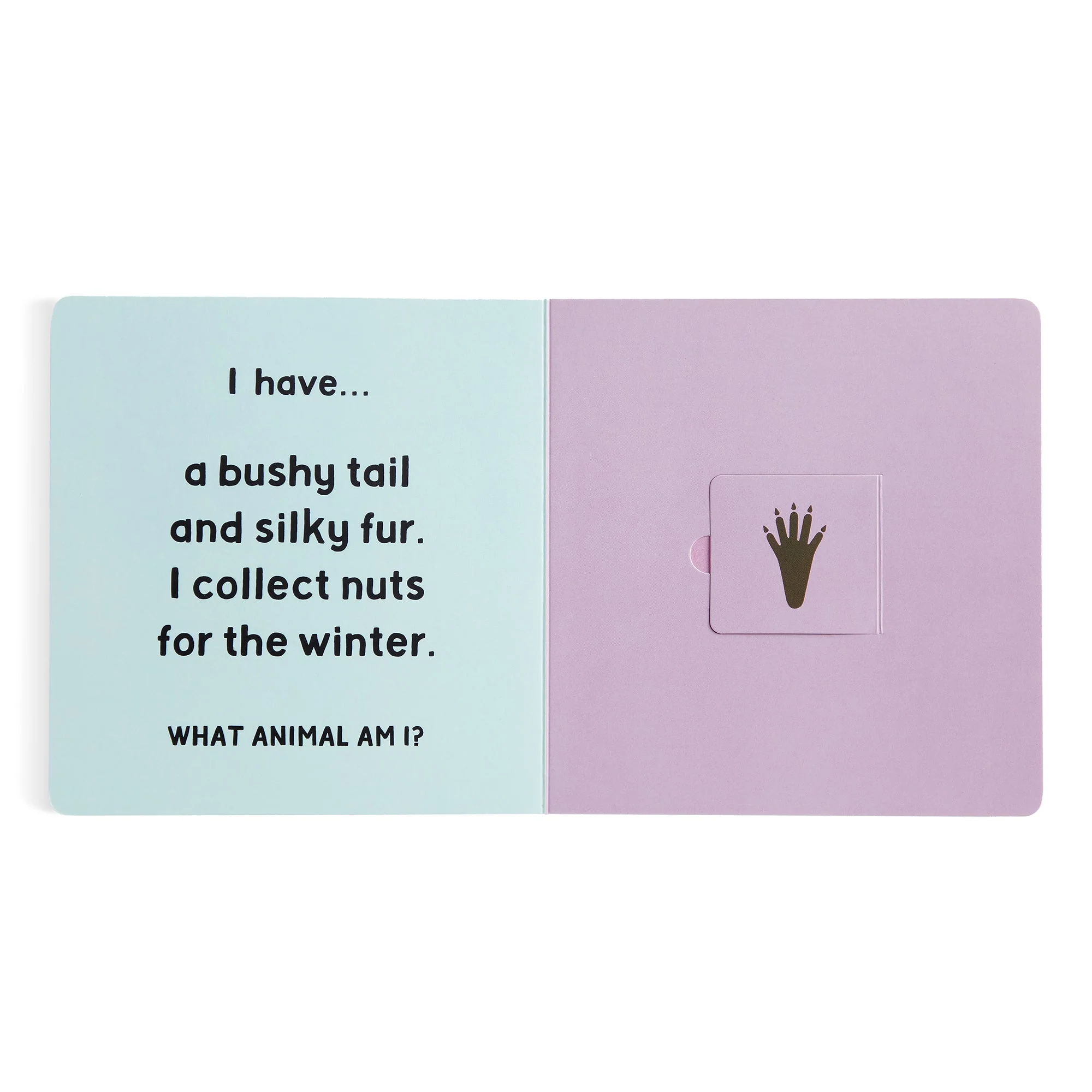 Forest Tracks: What Animal Am I? Lift-the-Flap Board Book - Image 3