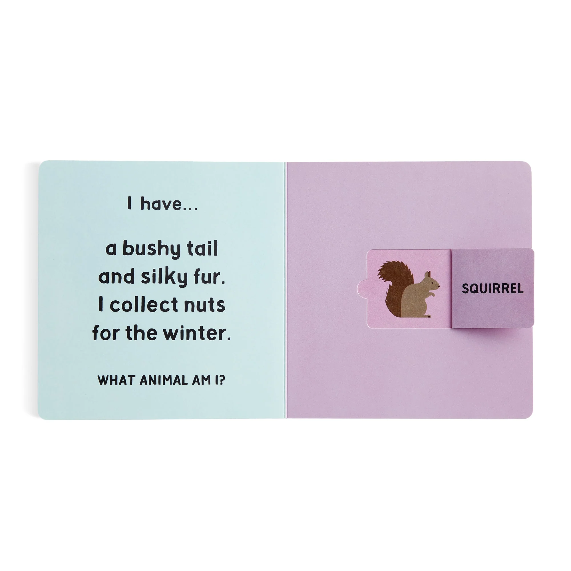 Forest Tracks: What Animal Am I? Lift-the-Flap Board Book - Image 4