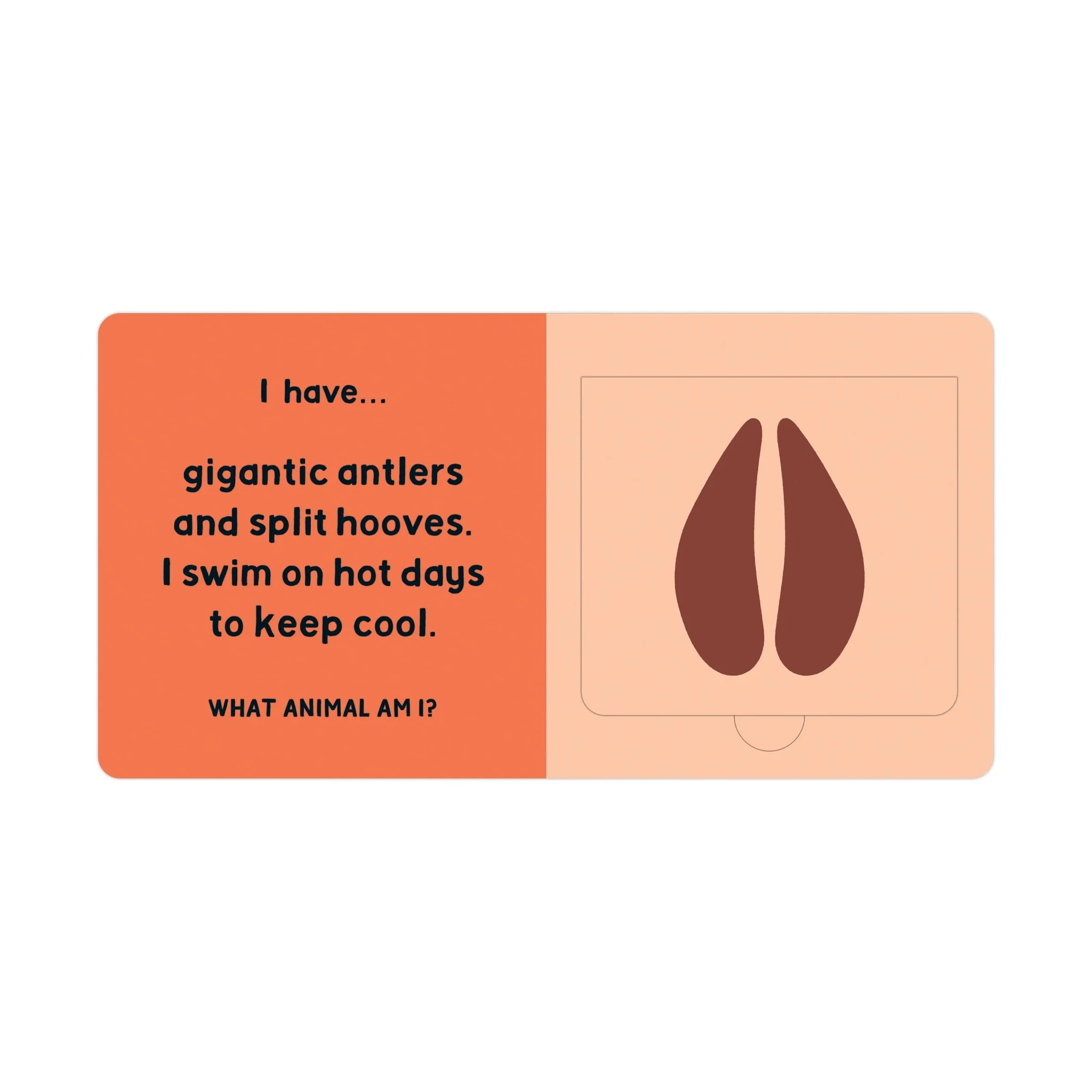 Forest Tracks: What Animal Am I? Lift-the-Flap Board Book - Image 5