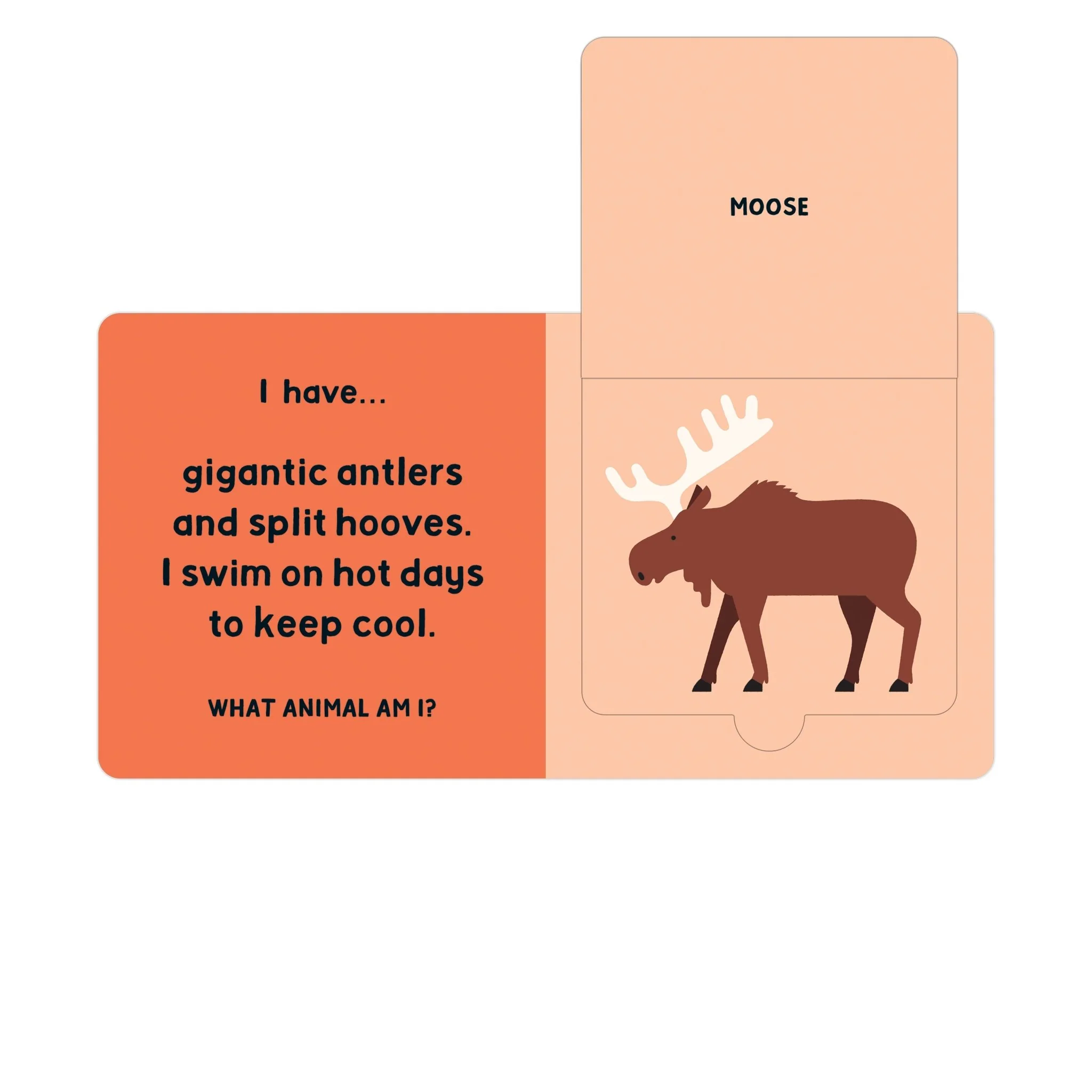 Forest Tracks: What Animal Am I? Lift-the-Flap Board Book - Image 6