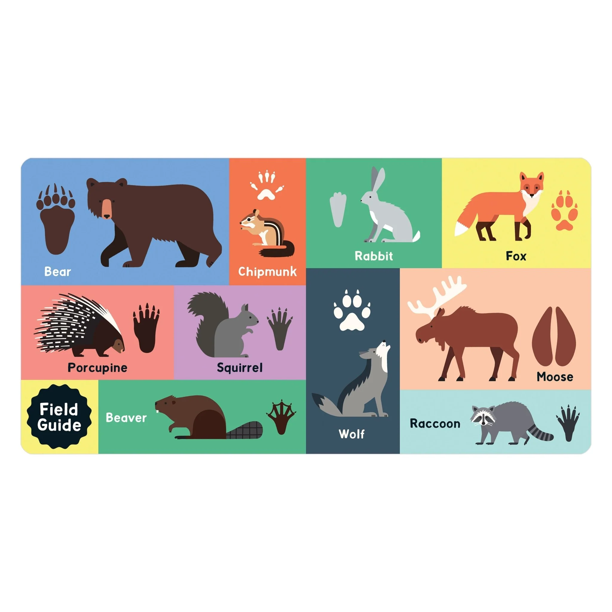 Forest Tracks: What Animal Am I? Lift-the-Flap Board Book - Image 7