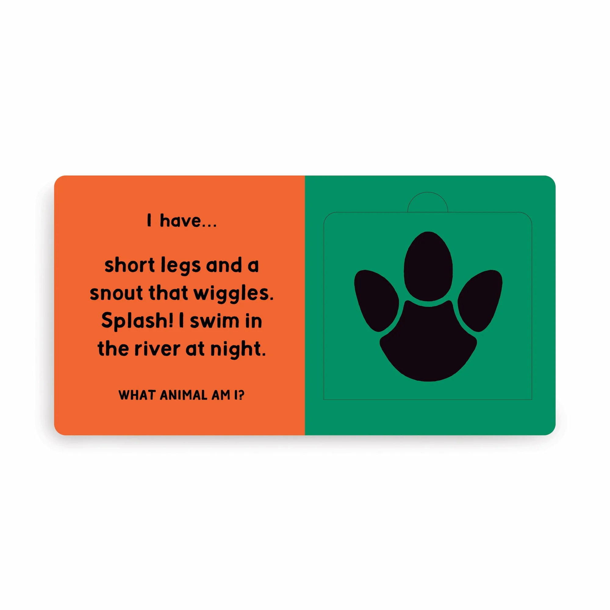 Jungle Tracks Lift-the-Flap Board Book - Image 5
