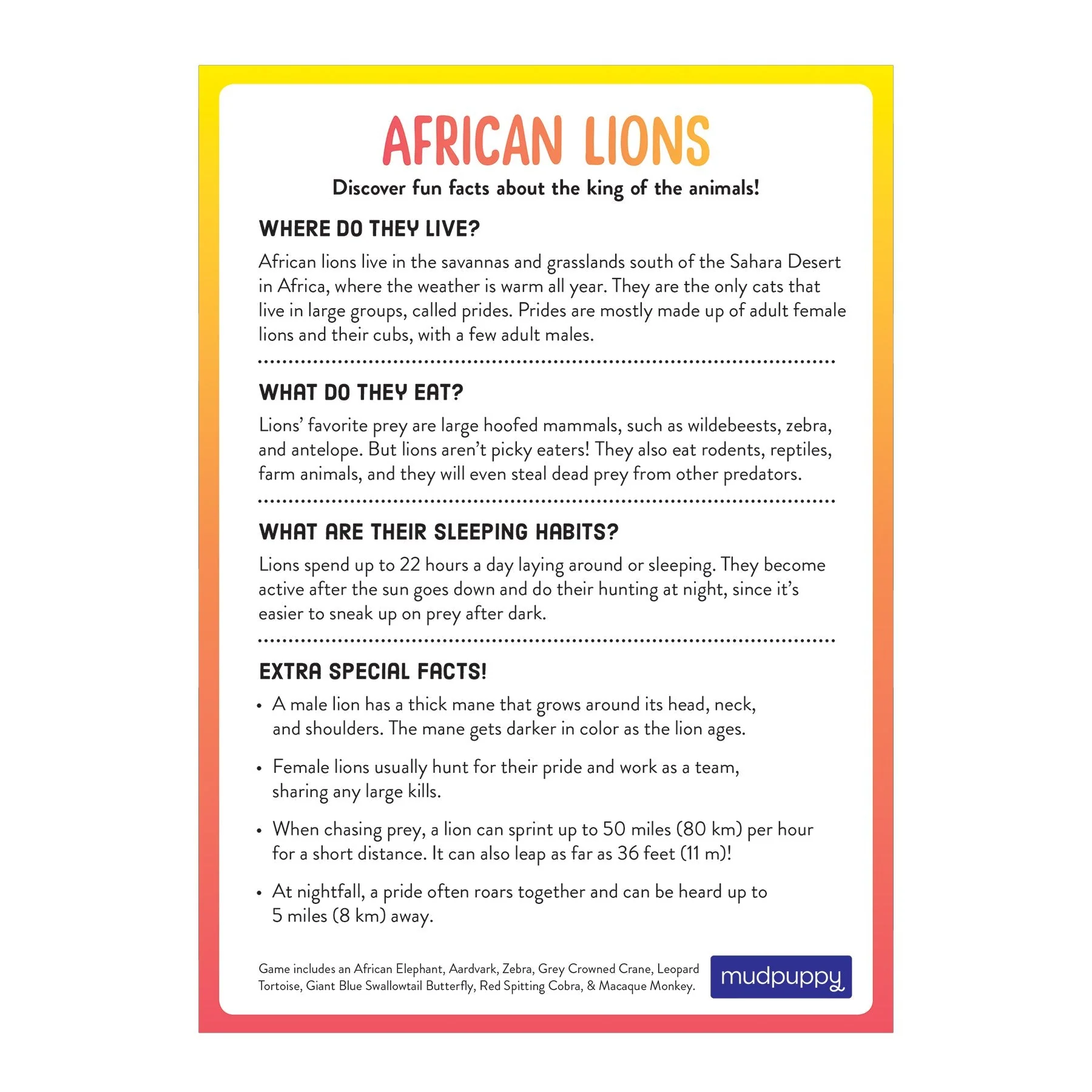 Lion's Safari Search Cooperative Game - Image 3