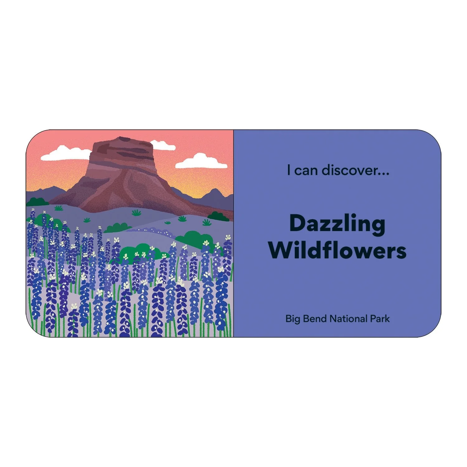 Little Park Ranger Board Book Set - Image 7