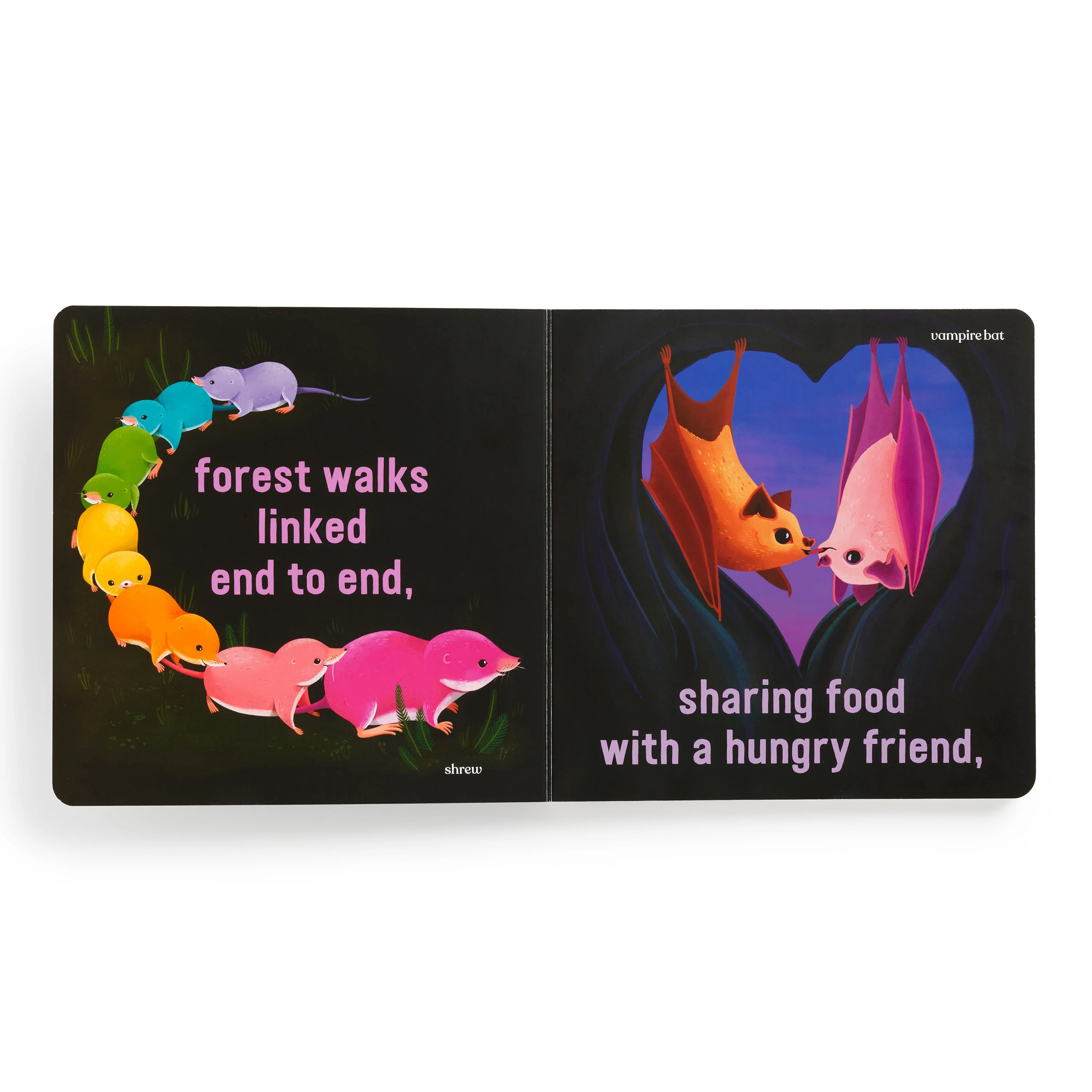 Love Under the Stars Board Book - Image 5