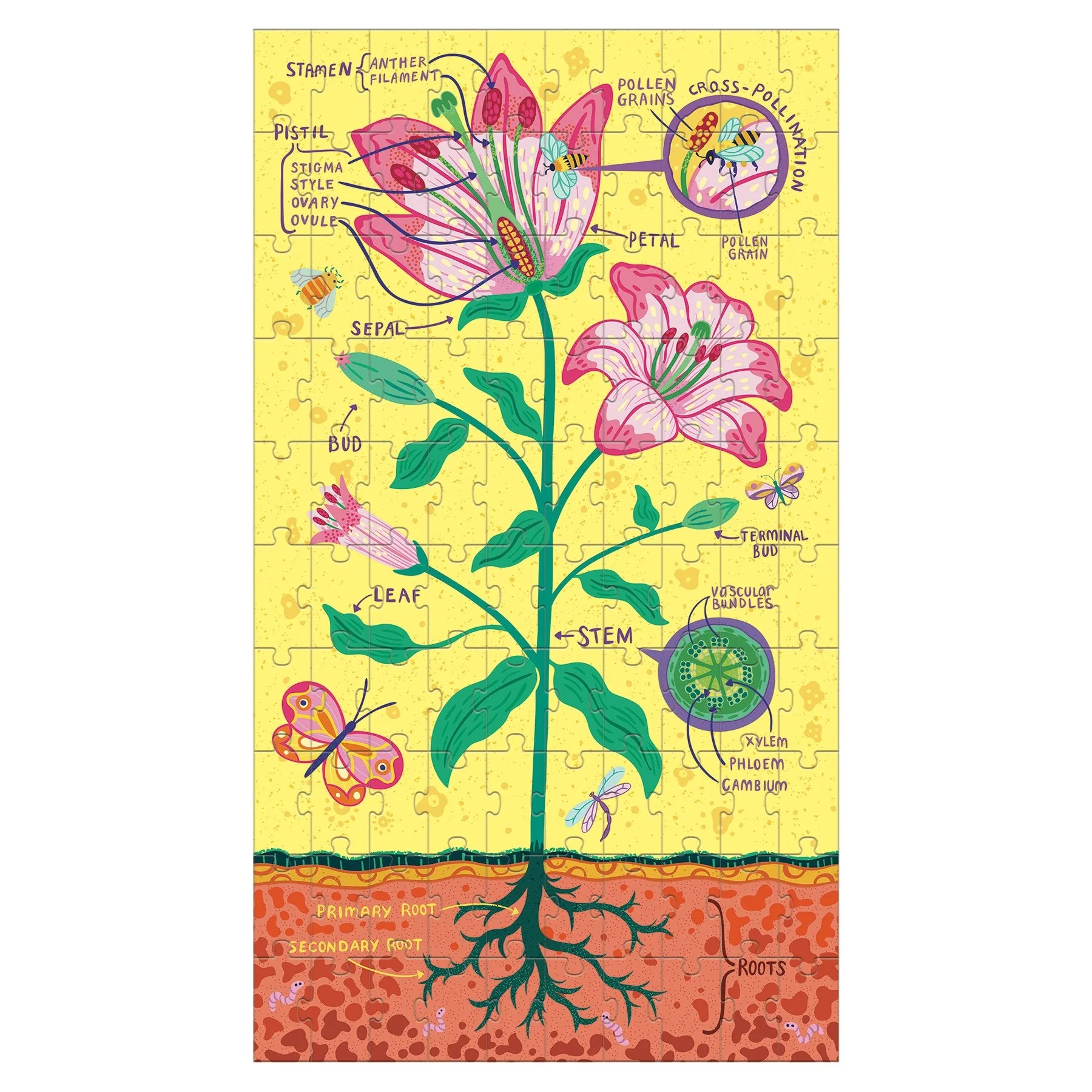 Plant Anatomy Science Puzzle Set - Image 3